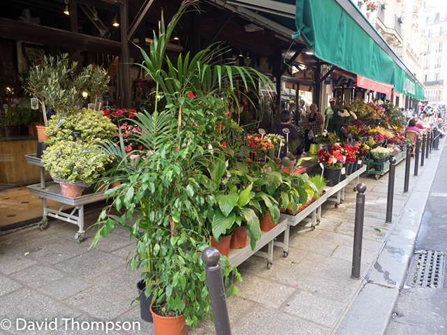 %_tempFileName2014-09-01_02_Paris_Bike_Tour-9011905%