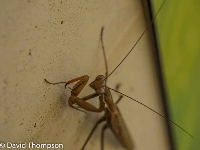 %_tempFileName2014-09-21_01_Pont_du_Gard-9211287%