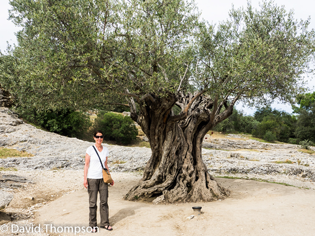 %_tempFileName2014-09-21_01_Pont_du_Gard-9211298%