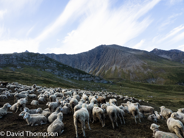 %_tempFileName2014-09-07_Refuge_des_Mottets_to_Courmayeur-9072120%