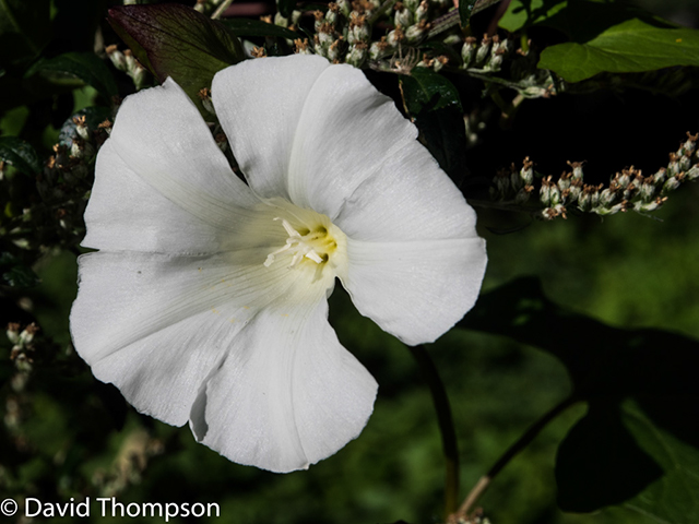 %_tempFileName2014-09-08_Courmayeur_Free_Day-9080871%
