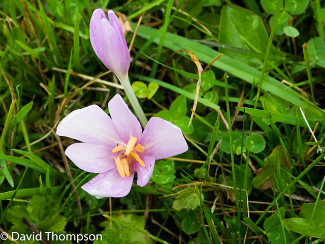 %_tempFileName2014-09-09_Courmayeur_to_La_Fouly-9090903%