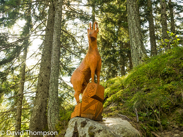 %_tempFileName2014-09-10_La_Fouly_to_Champex-9100926%