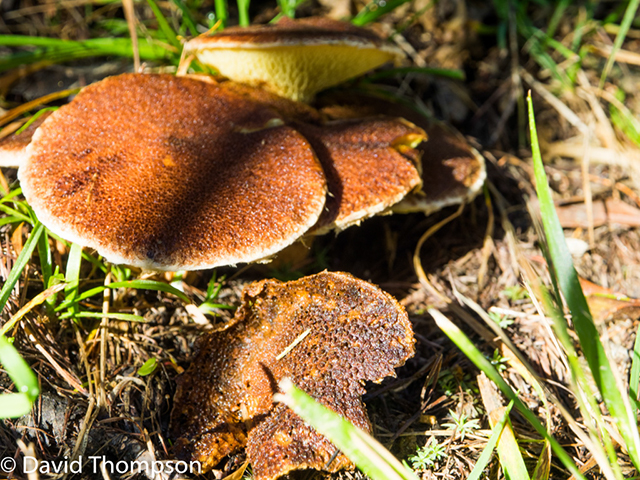 %_tempFileName2014-09-12_Trient_to_Argentiers-9120994%