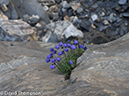 %_tempFileName2014-09-09_Courmayeur_to_La_Fouly-9090877%