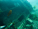 %_tempFileName2014-10-13_Avalon_Dive_Park-130029%