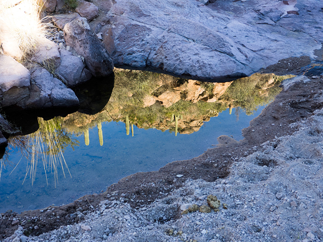 %_tempFileName2014-12-23_Weaver_Needle_Loop-231835%