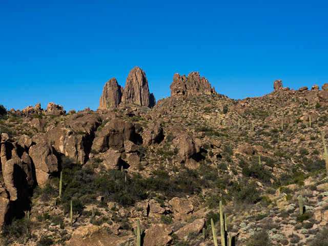 %_tempFileName2014-12-23_Weaver_Needle_Loop-231838%