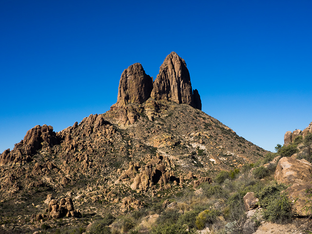 %_tempFileName2014-12-23_Weaver_Needle_Loop-231841%