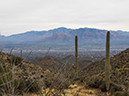 %_tempFileName2014-12-06_01_King_Canyon_Trail_to_Wasson_peak-061758%
