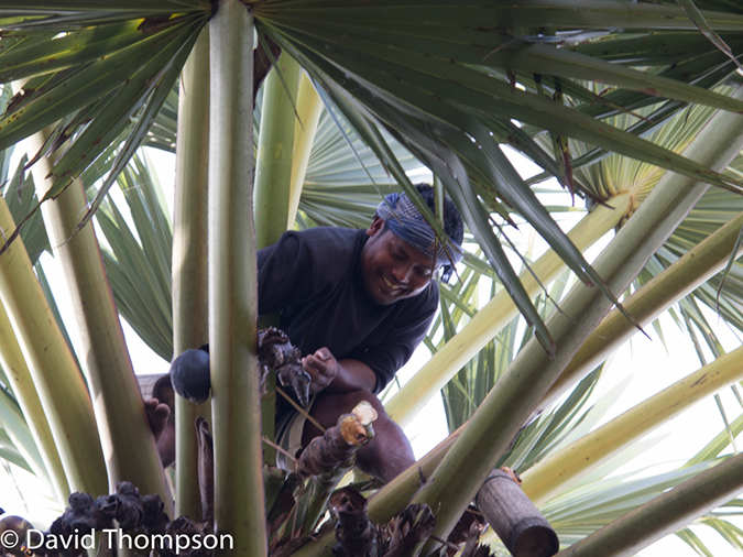 %_tempFileName2014-01-17_01_Siem_Reap_Angkor_Wat-13%