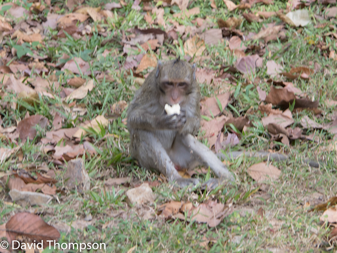 %_tempFileName2014-01-17_01_Siem_Reap_Angkor_Wat-97%