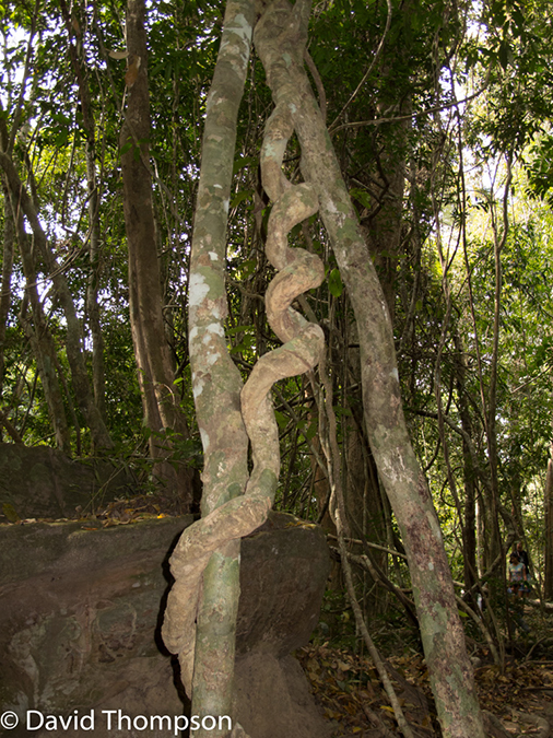 %_tempFileName2014-01-18_01_Siem_Reap_Khal_Spean-10%