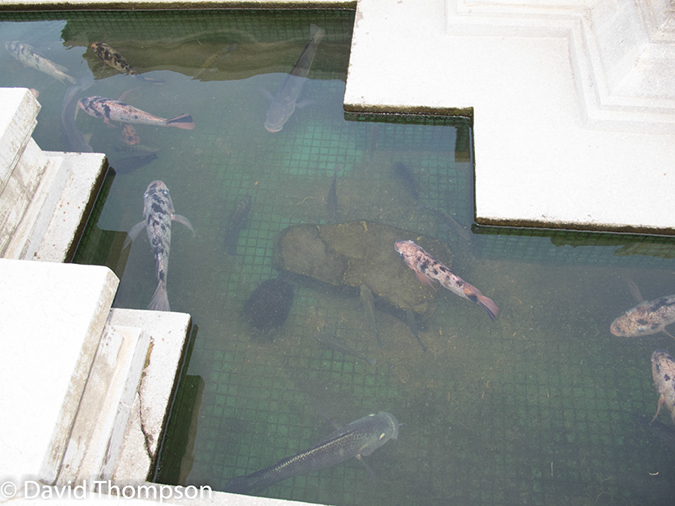 %_tempFileName2014-01-20_02_Phnom_Penh_Royal_Palace-27%