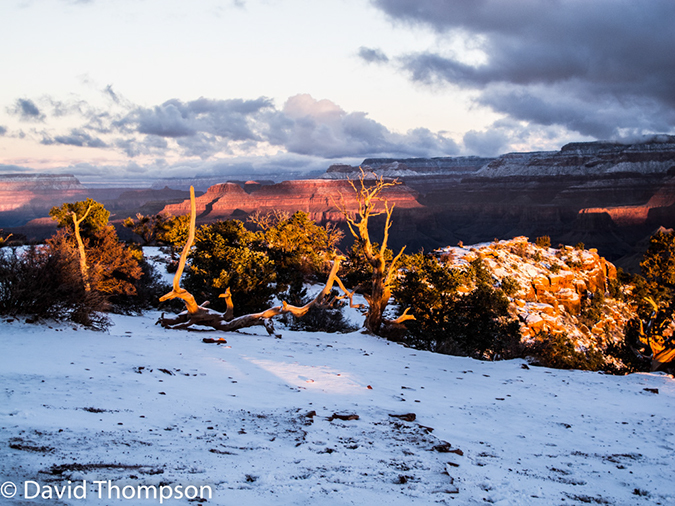 %_tempFileName2014-02-01_01_South_Kaibab_BA-30%