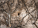 %_tempFileName2014-01-31_01_Montezuma_Castle-5%