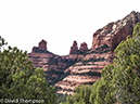 %_tempFileName2014-02-01_02_Sedona_Wilson_Mountain_Trail-8%