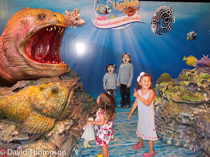 %_tempFileName2014-01-02_01_Bangkok-7%