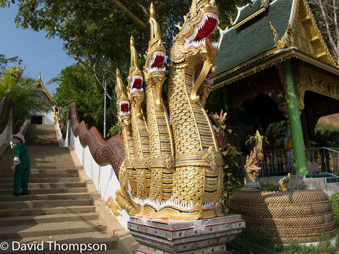 %_tempFileName2014-01-10_01_Chiang_Mai_High_Mountain_Hike_Maetang-10%