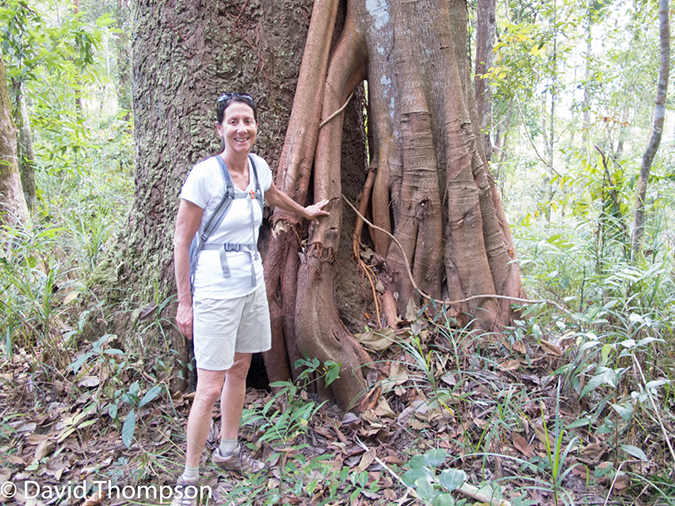%_tempFileName2014-01-10_01_Chiang_Mai_High_Mountain_Hike_Maetang-33%