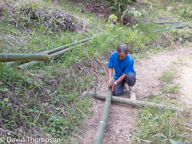 %_tempFileName2014-01-10_01_Chiang_Mai_High_Mountain_Hike_Maetang-53%