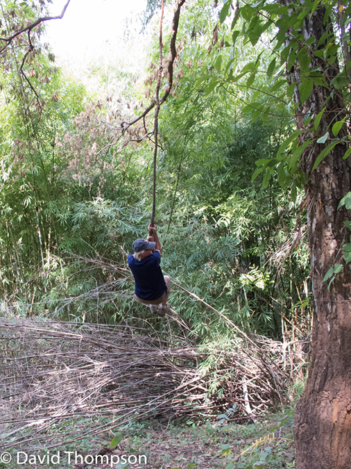 %_tempFileName2014-01-15_02_Chiang_Mai_Hiking_Mae_Taeng_District-19%