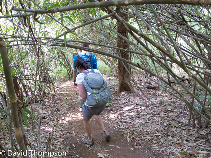 %_tempFileName2014-01-15_02_Chiang_Mai_Hiking_Mae_Taeng_District-21%