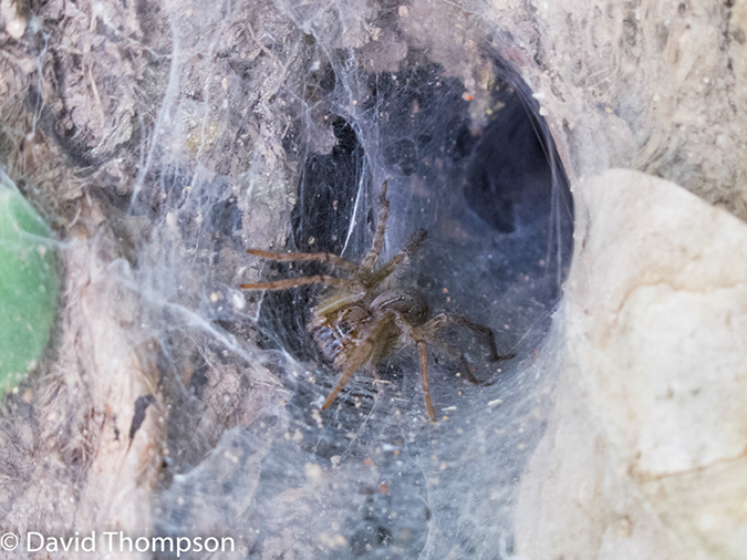 %_tempFileName2014-01-15_02_Chiang_Mai_Hiking_Mae_Taeng_District-24%