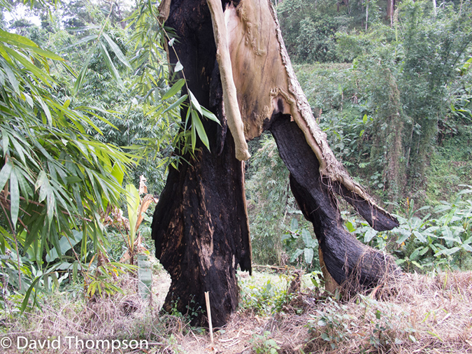 %_tempFileName2014-01-15_02_Chiang_Mai_Hiking_Mae_Taeng_District-45%