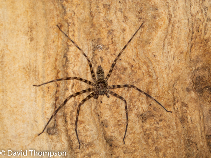 %_tempFileName2014-01-15_02_Chiang_Mai_Hiking_Mae_Taeng_District-65%