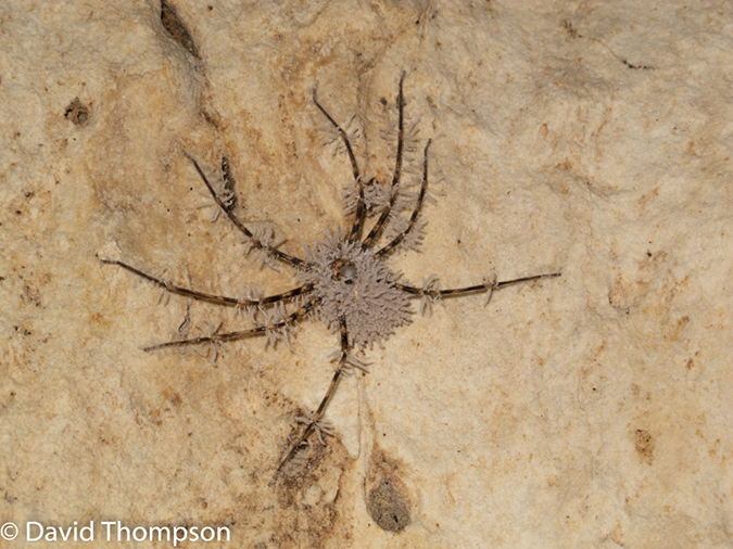 %_tempFileName2014-01-15_02_Chiang_Mai_Hiking_Mae_Taeng_District-71%