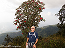 %_tempFileName2014-01-13_03_Chiang_Mai_Doi_Inthanon_National_Park-32%
