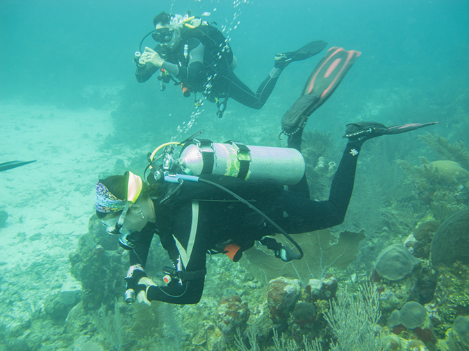 %_tempFileName2014-02-09_02_Utila_Diamond_Key-5%
