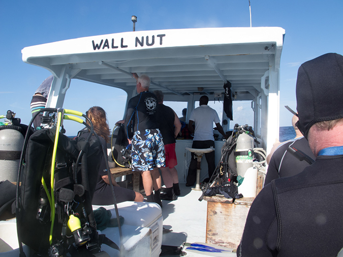 %_tempFileName2014-02-09_04_Utila_Looking_for_Whale_Sharks-2%