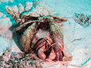 %_tempFileName2014-02-09_03_Utila_Jack_Neil_Cove-8%