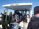 %_tempFileName2014-02-09_04_Utila_Looking_for_Whale_Sharks-2%