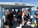 %_tempFileName2014-02-10_01_Utila_Deep_Blue_Resort_Dive_Boat-2%