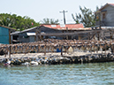 %_tempFileName2014-02-12_02_Utila_Jewel_Cay-1%