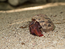%_tempFileName2014-02-12_04_Utila_Deep_Blue_Resort-8%