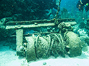 %_tempFileName2014-02-14_02_Utila_Black_Coral_Wall-2%