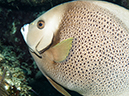 %_tempFileName2014-02-14_03_Utila_Labyrinth-12%