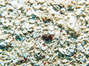 %_tempFileName2014-02-14_03_Utila_Labyrinth-13%