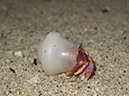 %_tempFileName2014-02-14_04_Utila_Deep_Blue_resort-1%