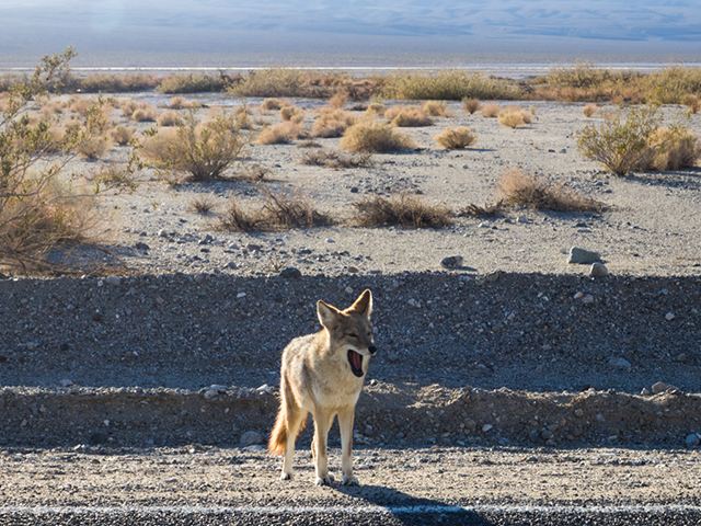 %_tempFileName2015-01-07_05_Badwater_Road-1072119%