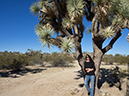 %_tempFileName2015-01-06_01_Arizona_Joshua_Forest_Scenic_Parkway-1062041%