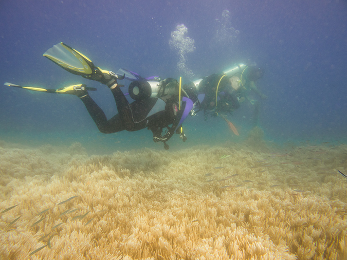 %_tempFileName2015-03-22_03_Namena_Marine_Reserve_Arch_to_Kansas-3220047%