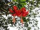 %_tempFileName2015-03-20_01_Volivoli_Beach_Resort-3200248%