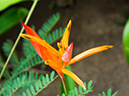 %_tempFileName2015-03-20_04_Volivoli_Beach_Resort-3200314%