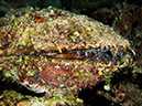 %_tempFileName2015-03-22_03_Namena_Marine_Reserve_Arch_to_Kansas-3220014%
