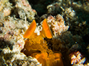 %_tempFileName2015-03-22_03_Namena_Marine_Reserve_Arch_to_Kansas-3220019%